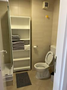 ベオグラードにあるLV Apartmentsのバスルーム(トイレ、シャワー、タオル付)
