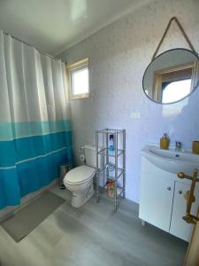 a bathroom with a toilet and a sink and a mirror at Cabaña Náutica in Puerto Natales