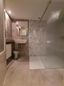 a bathroom with a glass shower and a sink at Dorpsdijk 53A in Vrouwenpolder