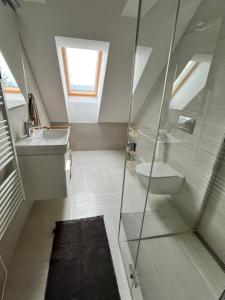 a bathroom with a shower and a sink and a toilet at Sáňky Apartmány in Liberec