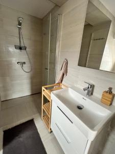 a bathroom with a white sink and a shower at Sáňky Apartmány in Liberec