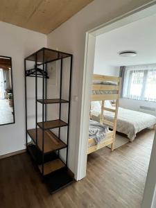 a room with a book shelf and a bunk bed at Sáňky Apartmány in Liberec