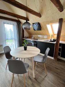 a kitchen with a table and chairs in a room at Sáňky Apartmány in Liberec