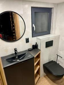 a bathroom with a sink and a toilet and a mirror at Challet44 in Jeseník