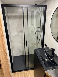 a glass shower in a bathroom with a sink at Challet44 in Jeseník