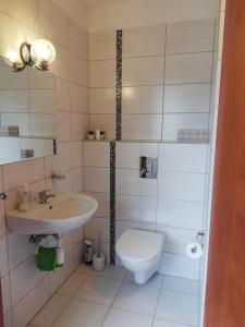a bathroom with a sink and a toilet at Pokoje Gościnne u Joli in Szczyrk