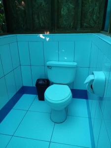 a blue bathroom with a toilet and a toilet paper dispenser at Inotawa Lodge in Tambopata