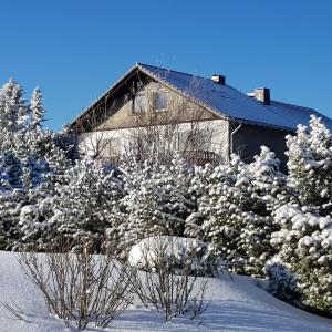 ヴィンターベルクにあるPension Hubertusの雪に覆われた木々と茂みに覆われた家