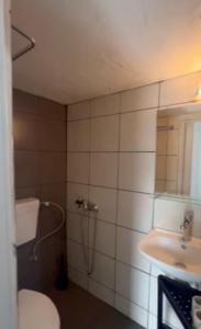 a bathroom with a shower and a toilet and a sink at Chalkidiki Apartment Kallikratia Maria in Nea Kalikratia