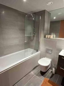 a bathroom with a shower and a toilet and a tub at Entire 1 bd aprt in Jewellery Q. in Birmingham