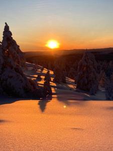 a sunset in the snow with trees and the sun at Fristad Nature House in Torsby