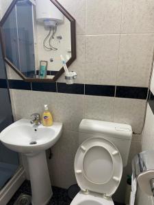 Koupelna v ubytování Apartman Felix