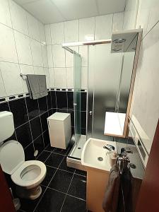 Phòng tắm tại Apartman Breza Divcibare