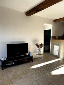 een woonkamer met een grote flatscreen-tv bij Superbe appartement dans un mas in Nîmes