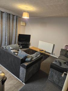 a living room with two couches and a television at Pinewood house 