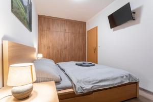 Schlafzimmer mit einem Bett, einem TV und einer Lampe in der Unterkunft Tyrolia in Loučná pod Klínovcem