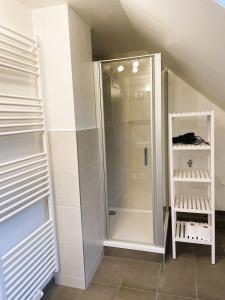 Una ducha a ras de suelo en una habitación con estanterías blancas en Harzhaus Drei Hexen, en Tanne