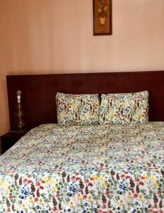 a bed with two pillows on top of it at Sarf travelers motel in Kasese
