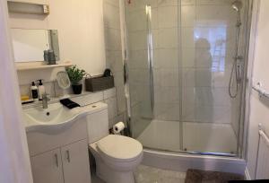 a bathroom with a shower and a toilet and a sink at Streatham Studio in London
