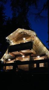 a building with lights on top of it at night at Cabana Craita in Vişeu de Sus