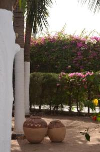 two large vases sitting next to a palm tree at Villa Mandel Nafio, Haus mit Garten nahe dem Atlantik in Ouoran