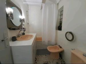 a bathroom with a sink and a toilet and a mirror at Toulousaine avec jardin proche centre wifi in Toulouse