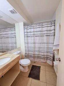ein Bad mit einem WC, einem Waschbecken und einer Dusche in der Unterkunft Departamento Laguna Vista in Algarrobo
