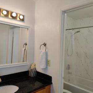 uma casa de banho com um chuveiro, um lavatório e um espelho. em Spacious Pleasanton Home, 4br-2ba, Kitchen, WiFi, Laundry, Parking and More em Pleasanton