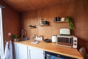 a kitchen counter with a microwave and a sink at Baggies No.2 in Brighton & Hove