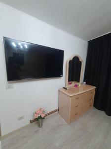uma sala de estar com uma grande televisão de ecrã plano na parede em Christine em Târgu Jiu
