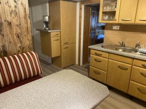 eine kleine Küche mit einer Spüle und einer Theke in der Unterkunft Klein, fein und dein - Stofbauer in Tressdorf