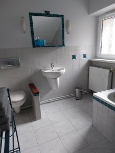 ein Badezimmer mit einem Waschbecken, einem WC und einem Spiegel in der Unterkunft Willa KaMa in Szklarska Poręba