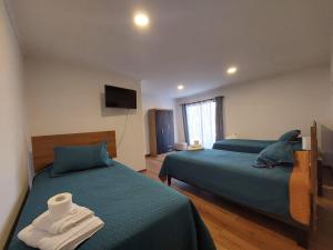 a bedroom with two beds and a television and a shark pillow at Hostal La Ruca in Antofagasta