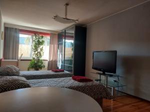 TV a/nebo společenská místnost v ubytování Villa Kornelka