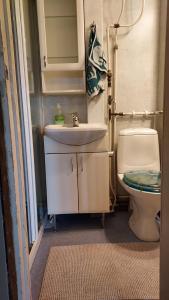 uma pequena casa de banho com lavatório e WC em Entisajan Helmi em Tampere