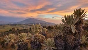 Příroda nedaleko hotelu + 19 fotografií