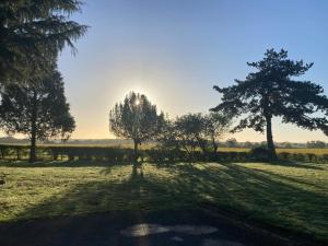 a field of grass with trees in the distance at North Clifton Hall in North Clifton