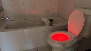 a bathroom with a toilet with a red bowl at Fancy house in Newmarket