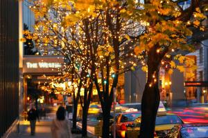 un grupo de árboles decorados con luces en una calle de la ciudad en The Westin Seattle en Seattle
