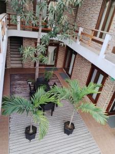 a courtyard with two palm trees and chairs at Hotel StarFish in Puerto Villamil