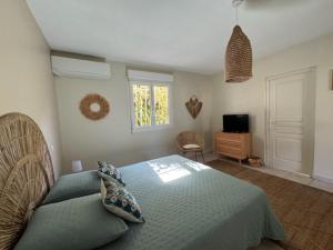 Schlafzimmer mit einem Bett, einem TV und einem Fenster in der Unterkunft Anse des Caraïbes in Les Trois-Îlets