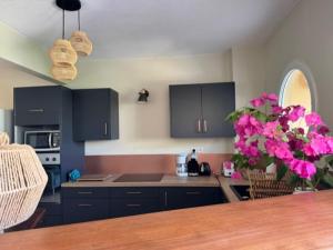 Dapur atau dapur kecil di Anse des Caraïbes