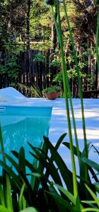 a pool of water with plants in the foreground at Casa Boutique LUNA LUCIA in Monte Hermoso