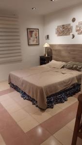 een slaapkamer met een groot bed en een bruine deken bij ROMFER in San Eduardo del Mar