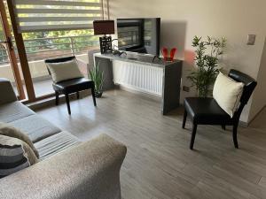 Gallery image of Departamento Pucón - Parque Condominio Castaños de Alicura in Pucón