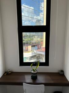 a window with a potted plant on a wooden table at EON CITY in Guatemala