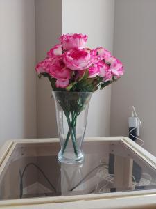 Fotografie z fotogalerie ubytování Rooms near Train Station v destinaci Burlington