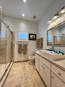 een badkamer met een wastafel, een toilet en een spiegel bij The Signature Orange Grove Suite in Lake Alfred