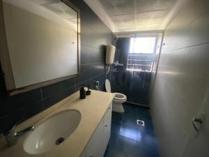 bagno con lavandino, servizi igienici e specchio di Lindo apto Mvd shopping puerto de buceo/pocitos a Montevideo