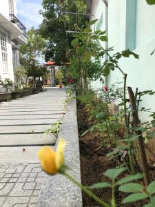 una flor amarilla al lado de una pasarela en Nhat Long Homestay, en Hue